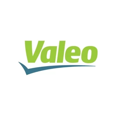 ADITIVO DE RADIADOR ORGANICO PROTECT 100 - VALEO - 820733R
