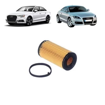 FILTRO DE ÓLEO LUBRIFICANTE VOLKSWAGEN VW JETTA, PASSAT, GOLF E AUDI A1, A3, TT DE 2004 EM DIANTE - TECFIL - PEL-313