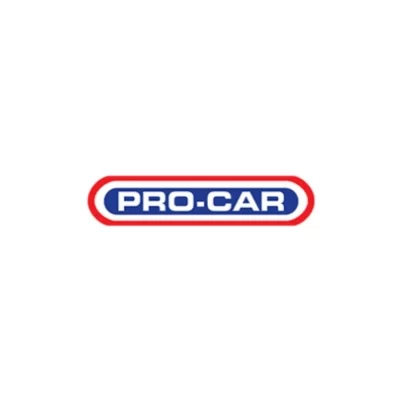 DESCARBONIZANTE PRO 80 AEROSSOL - PROCAR RQ9004